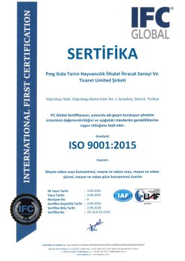ISO 9001:2015 