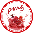 Pmg Logo